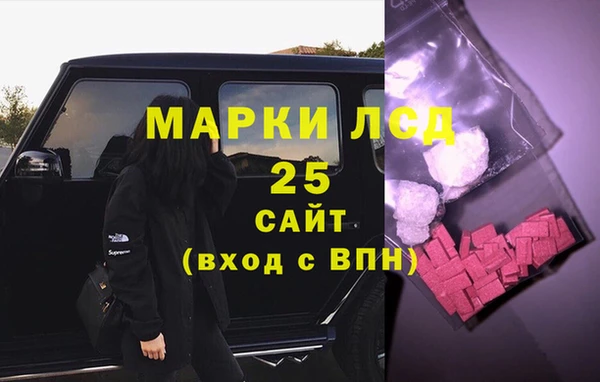 ПСИЛОЦИБИНОВЫЕ ГРИБЫ Елабуга