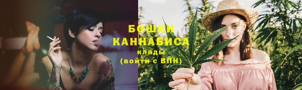 прущая мука Ельня