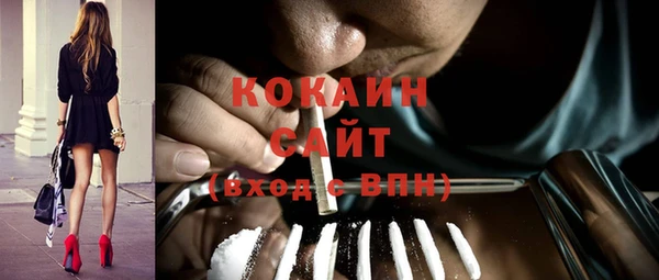 прущая мука Ельня