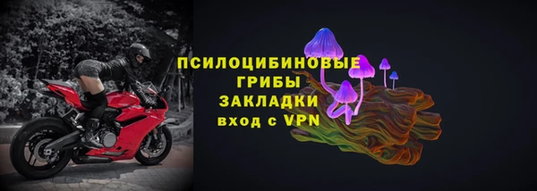 прущая мука Ельня