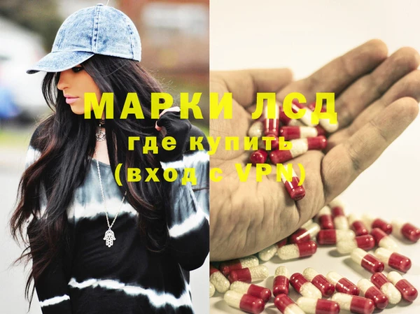 ПСИЛОЦИБИНОВЫЕ ГРИБЫ Елабуга