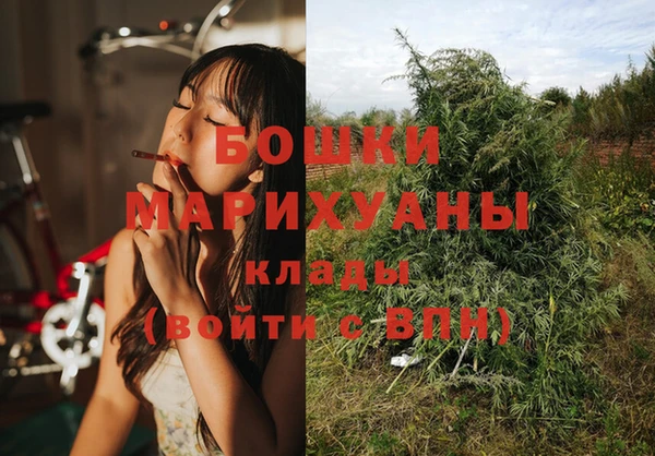 прущая мука Ельня