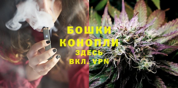 ПСИЛОЦИБИНОВЫЕ ГРИБЫ Елабуга
