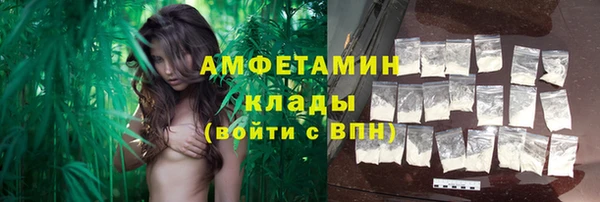 прущая мука Ельня