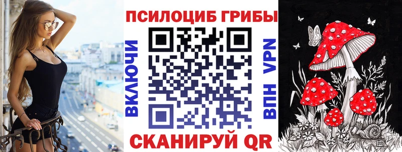 Купить  Усть-Илимск  Псилоцибиновые грибы Psilocybine cubensis 